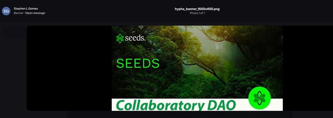 SEEDS COLLABORATORY DAO